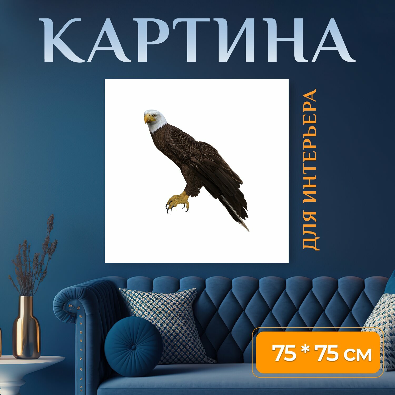 Картина на холсте "Белоголовый орлан, сидя, крылья" на подрамнике 75х75 см. для интерьера