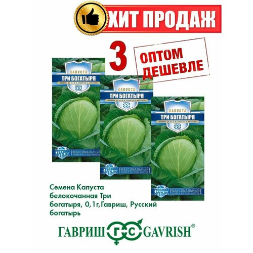 Капуста белокочанная Три богатыря, 0,1г, Гавриш(3уп) семена капуста б к три богатыря 0 5 г для квашения