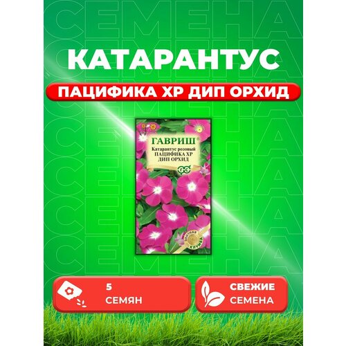 Катарантус Пацифика XP Дип Орхид, 5шт, Гавриш семена цветов катарантус пацифика дип орхид 10 шт поиск