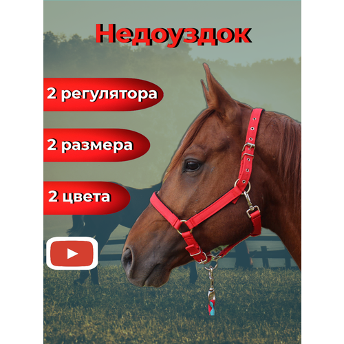 Недоуздок для лошадей красный, размер XL