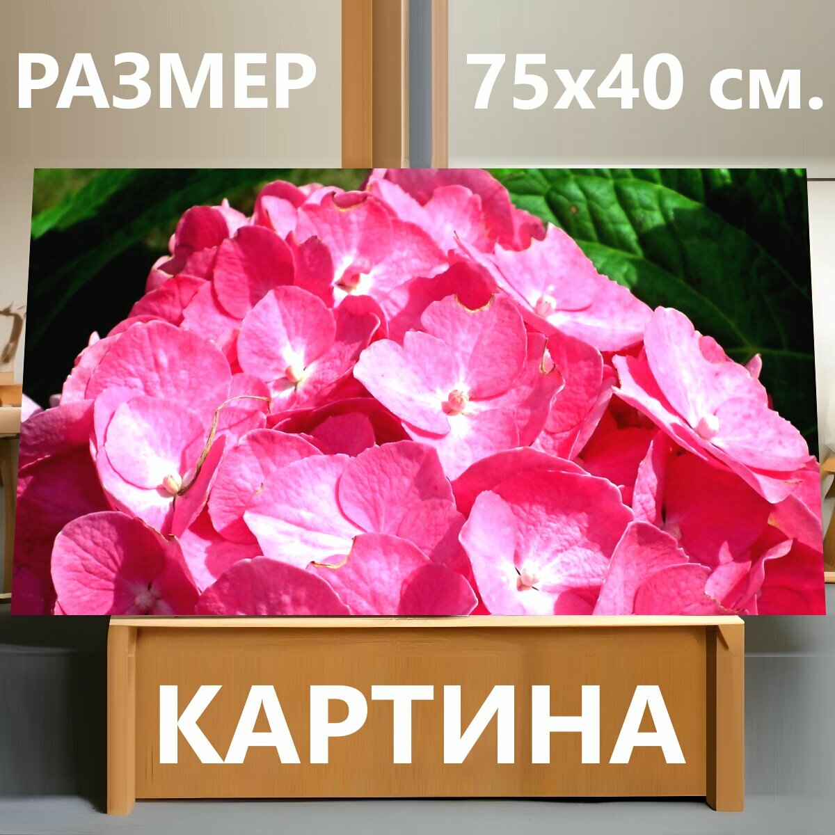 Картина на холсте "Гортензии, цветы, розовый" на подрамнике 75х40 см. для интерьера