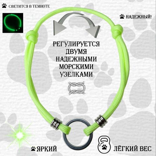Шнурок-ошейник светящийся для адресника. XL (35-50 см) Салатовый