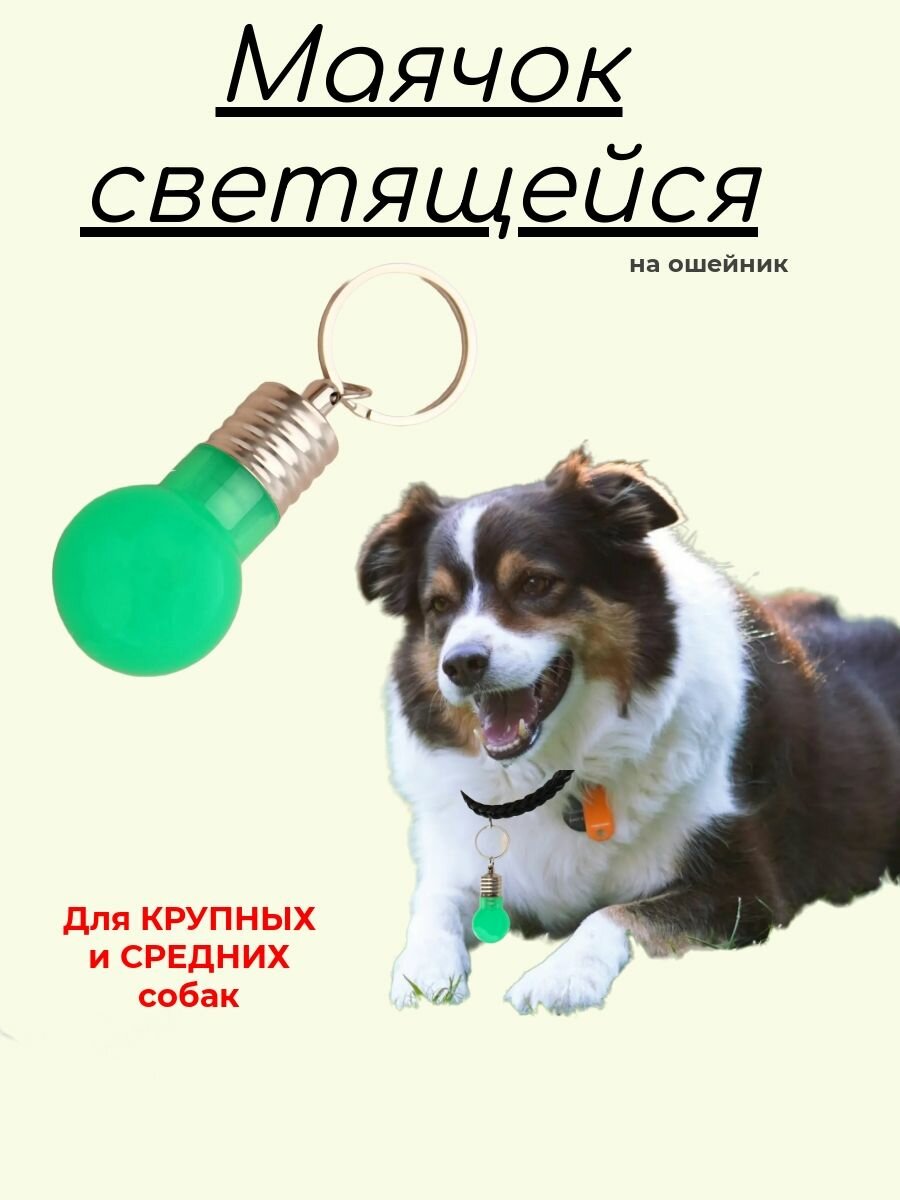 Маячок световой на ошейник , для крупных и средних пород собак , зеленый