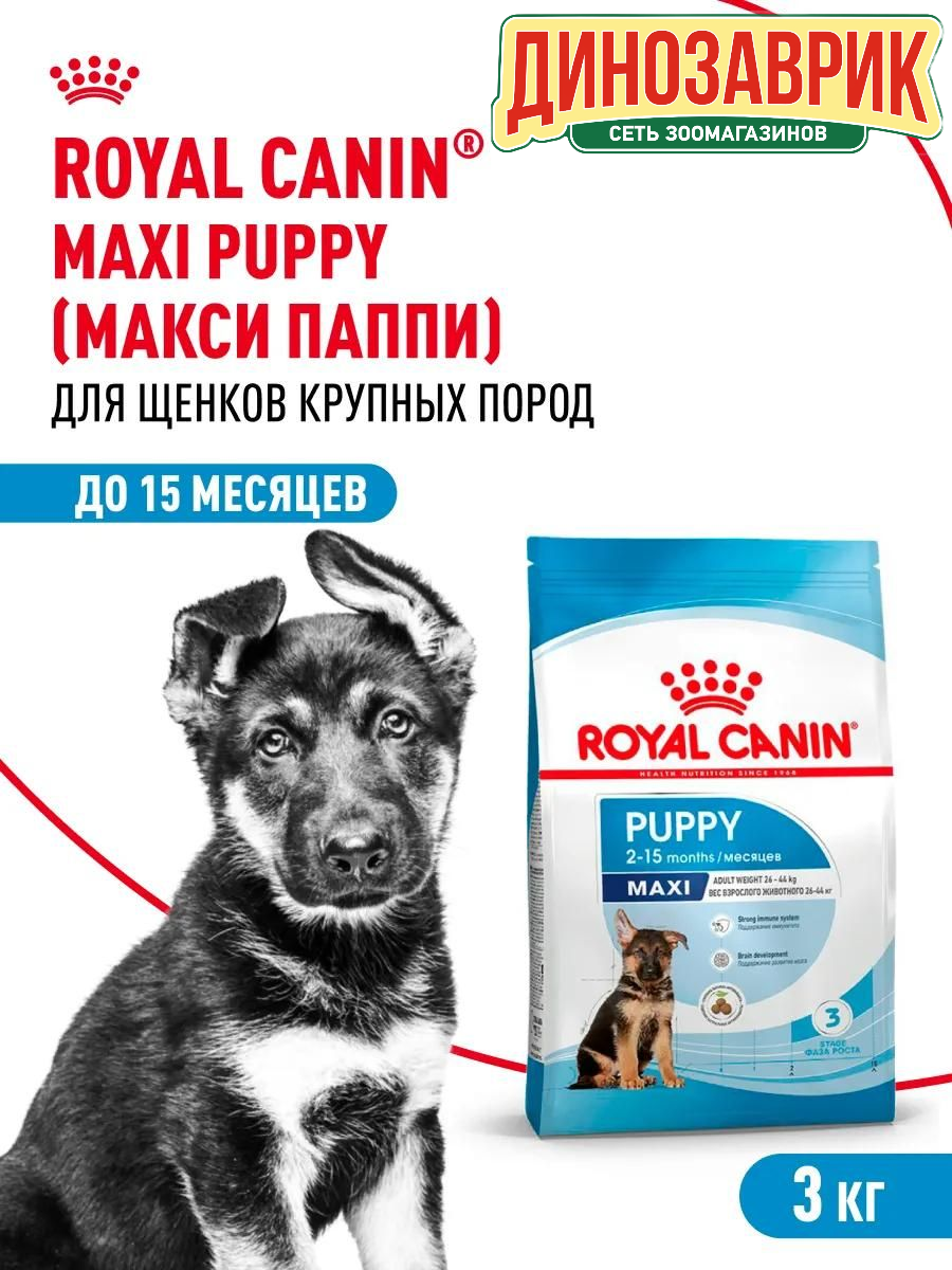 Сухой корм Royal Canin для щенков крупных пород, при чувствительном пищеварении, для здоровья костей и суставов 3 кг