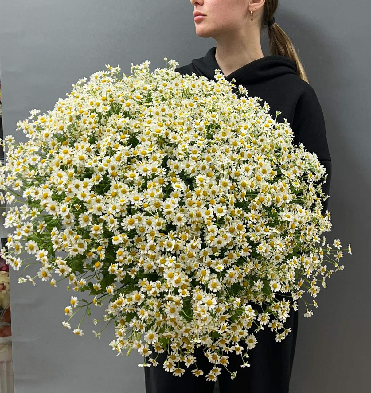 Ромашки 51шт Танацетум Монобукет Авторская упаковка возможно  просто под ленту  записка В подарок