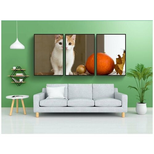 фото Набор модулных постеров для интерьера "кот, рыжий, домашнее животное" 60x90 см. в тубусе, без рамки lotsprints