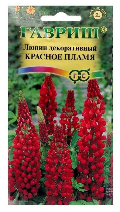 Семена цветов Люпин Красное пламя , 0,5 г