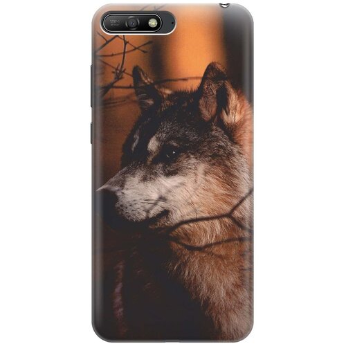 фото Re:pa накладка transparent для huawei y6 (2018) с принтом "красивый волк"