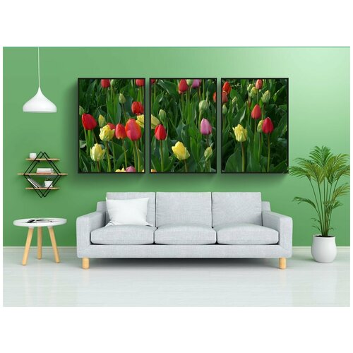 фото Набор модулных постеров для интерьера "поле тюльпанов, тюльпаны, луг" 60x90 см. в тубусе, без рамки lotsprints