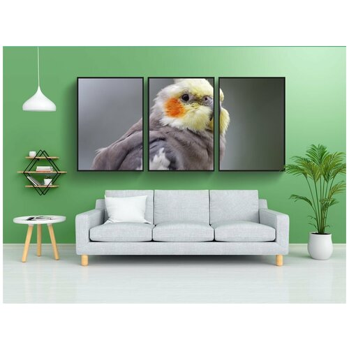фото Набор модулных постеров для интерьера "корелла, попугай, домашнее животное" 60x90 см. в тубусе, без рамки lotsprints
