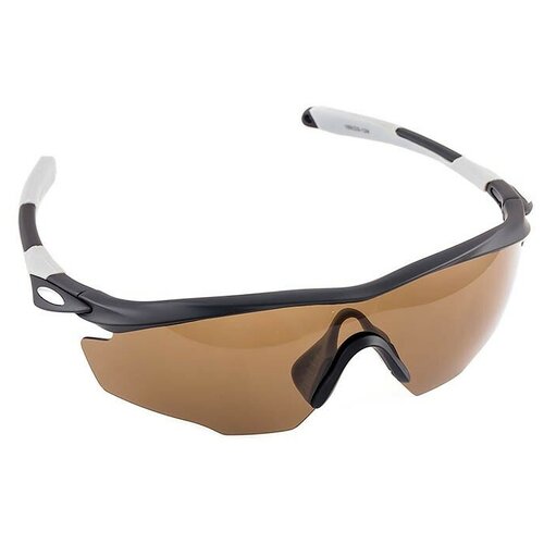 фото Очки polarized tagrider n10-1 brown