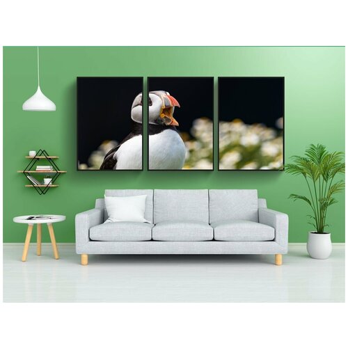 фото Набор модулных постеров для интерьера "тупик, птица, животное" 60x90 см. в тубусе, без рамки lotsprints