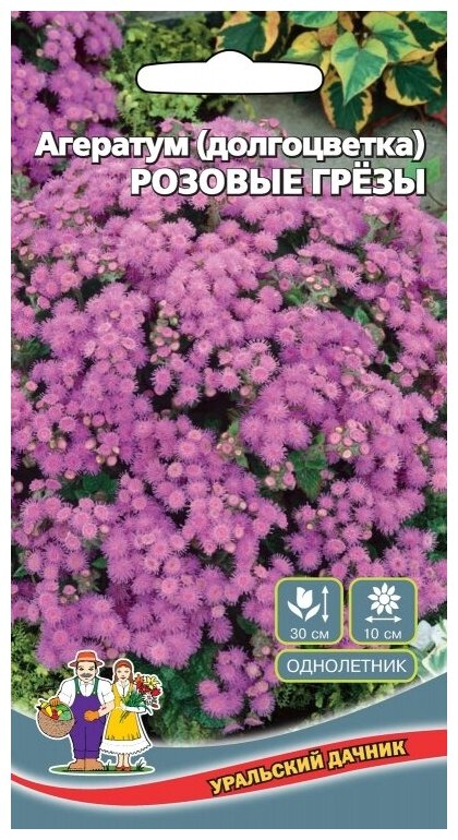 Семена Агератум (долгоцветка) Розовые грёзы Снежный сугроб 10 уп.