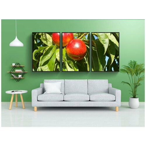 фото Набор модулных постеров для интерьера "нектарин, дерево, красный" 60x90 см. в тубусе, без рамки lotsprints