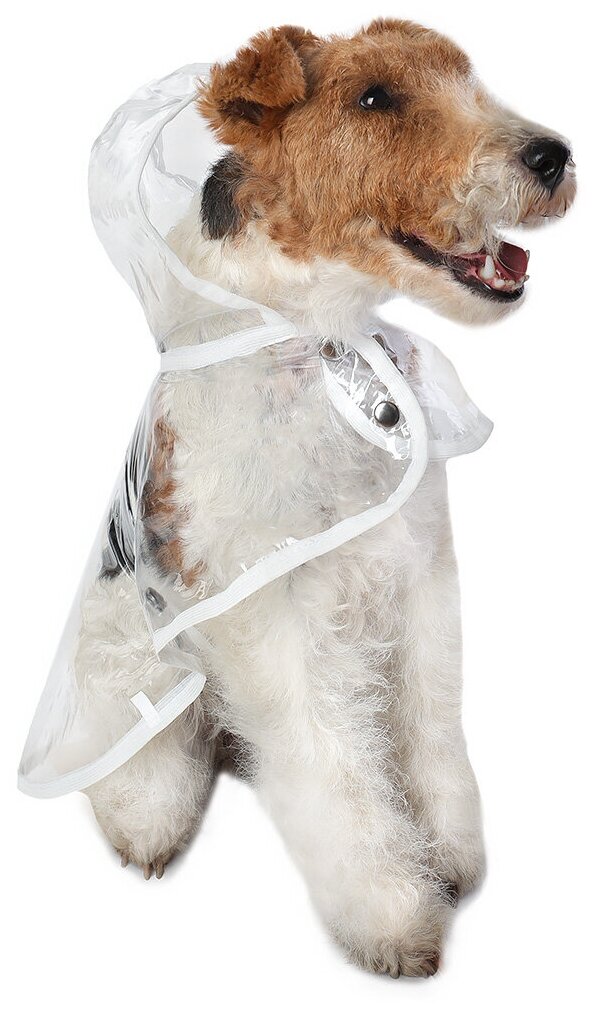 Дождевик для собак Монморанси "Дождевик прозрачный", цвет: белый, размер M, длина спины 26 см.