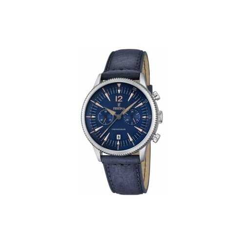 Мужские наручные часы Festina F16870/2