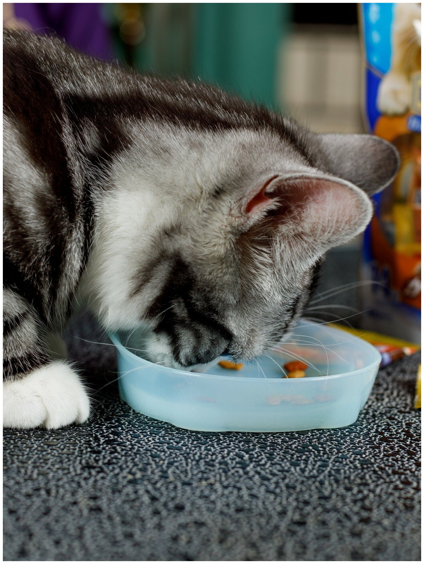 Лакомство для кошек Japan Premium Pet, хрустящий корм PRESENT для избалованных котов на основе сушеного тунца бонито, 42г - фотография № 8