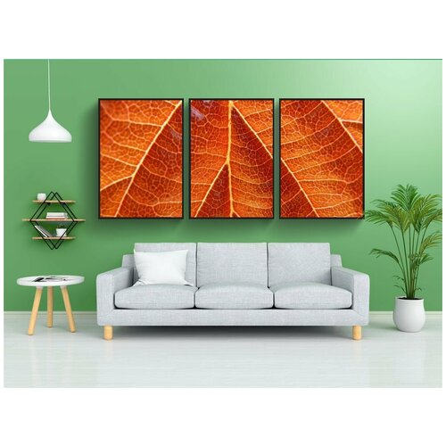 фото Набор модулных постеров для интерьера "лист, лещина обыкновенная, орешник" 60x90 см. в тубусе, без рамки lotsprints