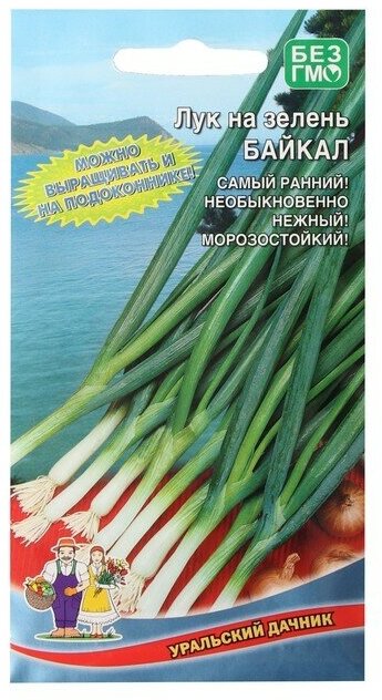 Семена Лук на зелень "Байкал", 0,25 г