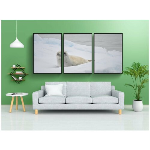 фото Набор модулных постеров для интерьера "белый, тюлень, антарктида" 60x90 см. в тубусе, без рамки lotsprints