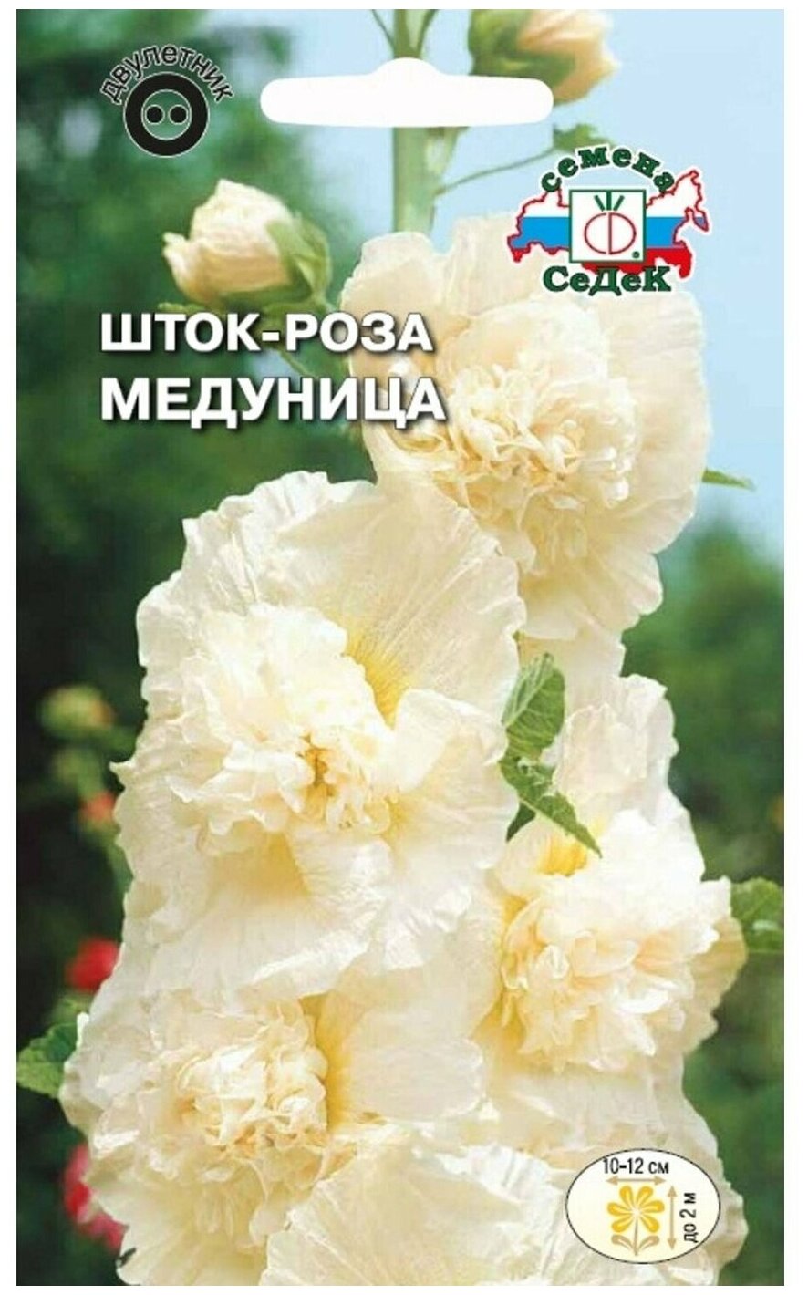 Семена розы Шток Медуница