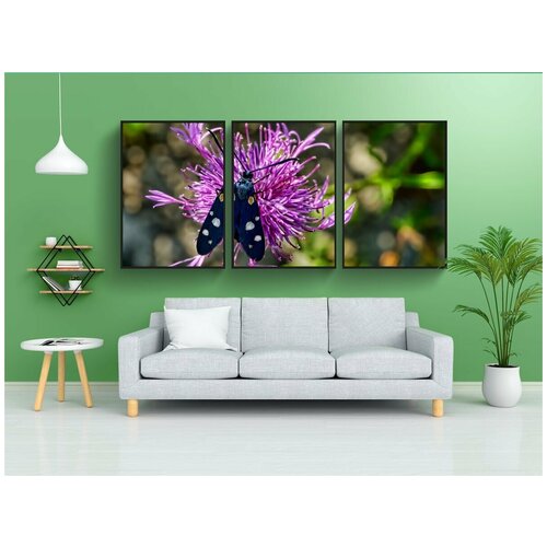 фото Набор модулных постеров для интерьера "природа, насекомое, бабочка" 60x90 см. в тубусе, без рамки lotsprints