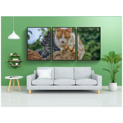 фото Набор модулных постеров для интерьера "кот, камень, смотреть" 60x90 см. в тубусе, без рамки lotsprints