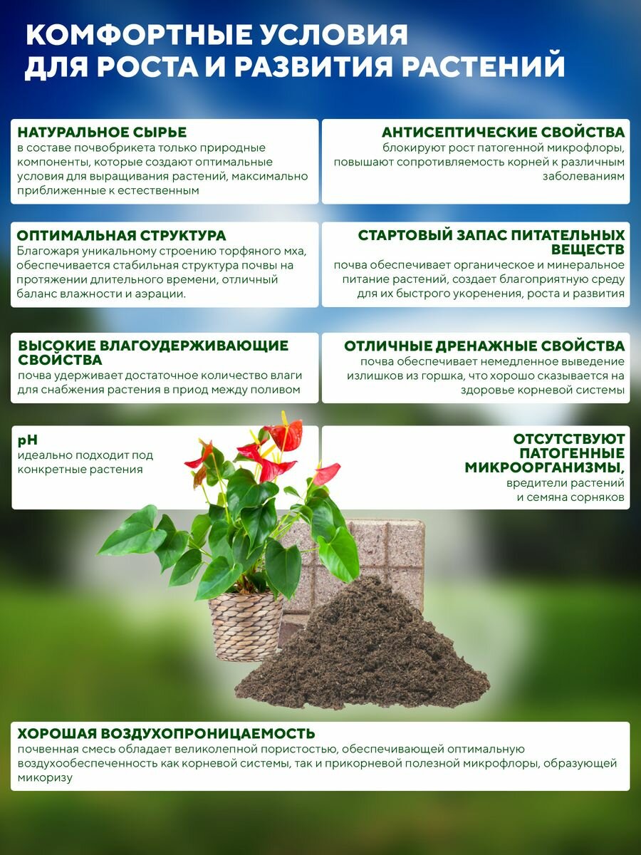 Почвобрикет Цветочный сад, 10л "БиоМастер" - фотография № 11