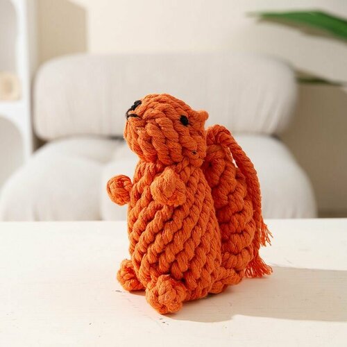 Игрушка для собак Оранжевая белка, вязанная из хлопка, для коренных зубов