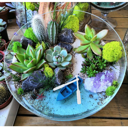 Флорариум «кусочек моря»