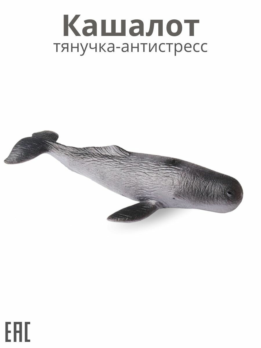 Кашалот игрушка тянучка / Тянучка антистресс