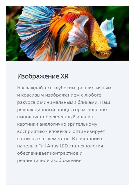 65" Телевизор Sony XR-65X95J 2021 micro-LED EU, черный - фото №13