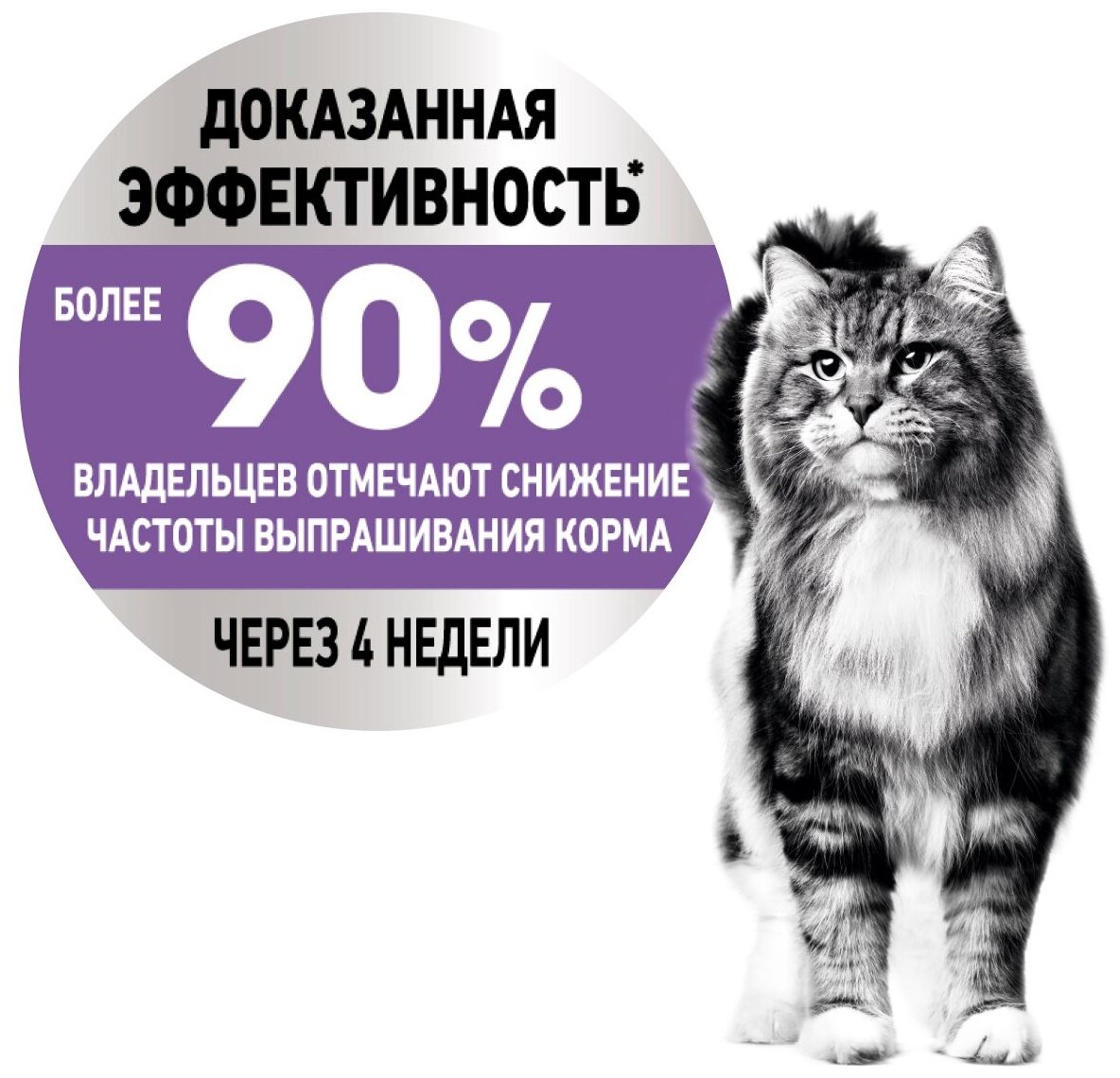 Влажный корм для стерилизованных кошек Royal Canin Appetite Control Care, 12 шт. х 85 г (кусочки в соусе) - фотография № 5