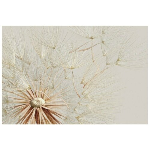 Фотообои Milan Свежий ветер M 456 400х270 см виниловые на флизелиновой основе 6550₽