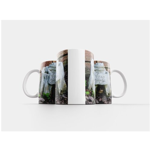 фото Кружка "жаба, зеленый, жаба дом" 320 мл lotsprints