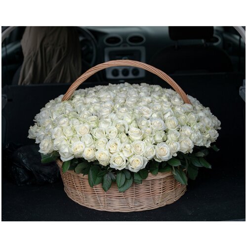 201 белая роза в корзине (Размер XL)