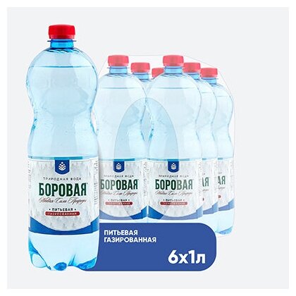 Вода BOROVAYA (Боровая), питьевая природная газированная, пэт 1 л х 6 шт - фотография № 2