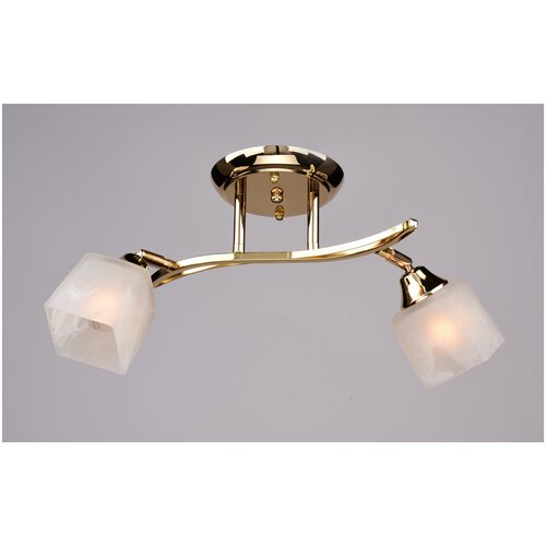 Потолочная люстра РС17650 FG/2C Лига Света