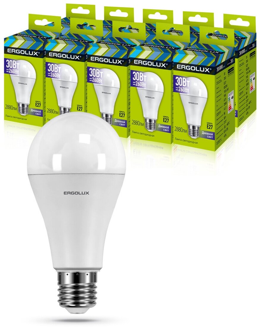 Набор из 10 светодиодных лампочек Ergolux LED-A70-30W-E27-6K
