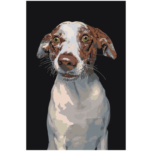 Картина по номерам, Живопись по номерам, 48 x 72, A168, пёс, живопись, собака, животное, порода