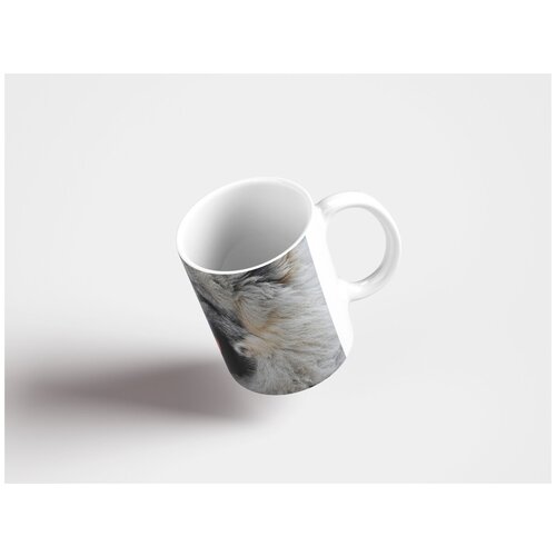 фото Кружка "собака, шерсть, пушистый 320 мл. белая lotsprints