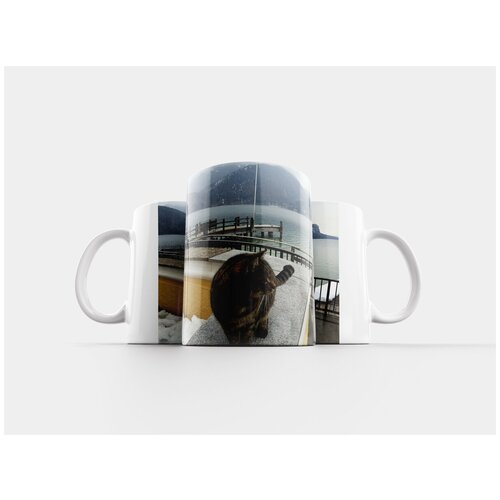 фото Кружка "кот, озеро, зима" 320 мл lotsprints