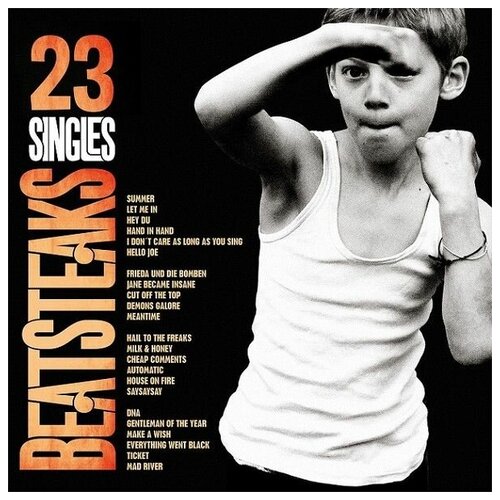 BEATSTEAKS 23 SINGLES Digisleeve CD beatsteaks boombox 180g