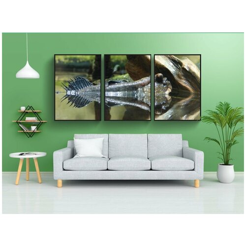 фото Набор модулных постеров для интерьера "илистые прыгуны, рыбы, животное" 60x90 см. в тубусе, без рамки lotsprints