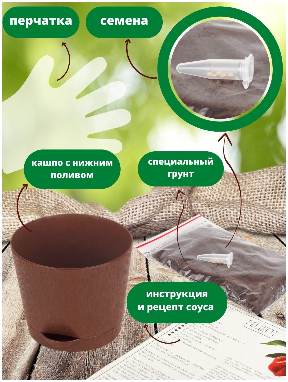 Набор для выращивания растений Перец острый Тринидад Скорпион Шоколадный Plant Republic