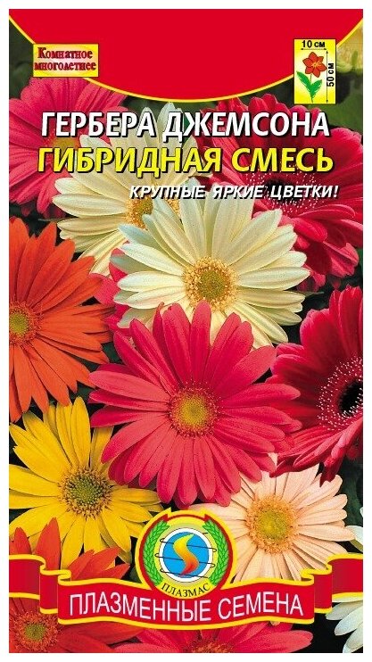 Плазменные семена Гербера Джемсона (комнатная) гибридная смесь, 1уп. по 10шт.