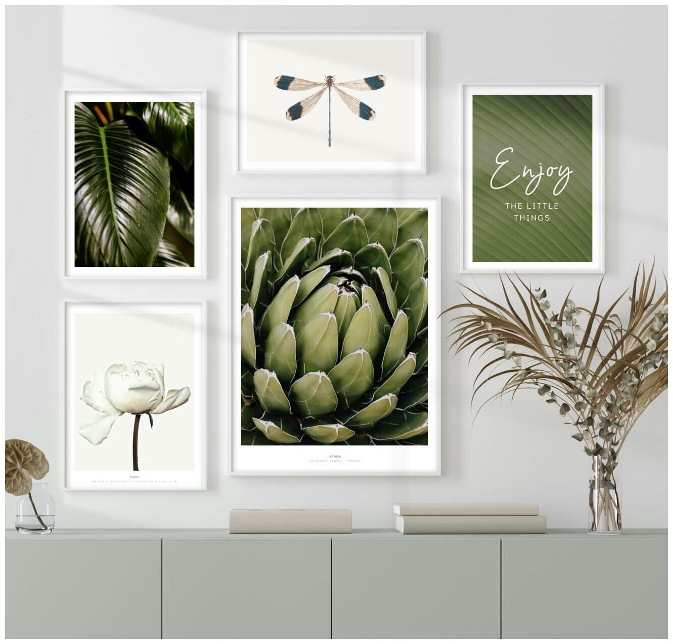 5 Картин постеров на стену "Агава растения" декор для интерьера, Набор постеров в подарочном тубусе