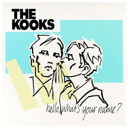 Виниловые пластинки, Lonely Cat, THE KOOKS - Hello, What's Your Name? (2LP)