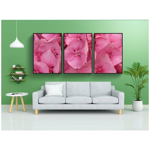 фото Набор модулных постеров для интерьера "садовая гортензия, гортензия макрофилл, декоративный кустарник" 60x90 см. в тубусе, без рамки lotsprints