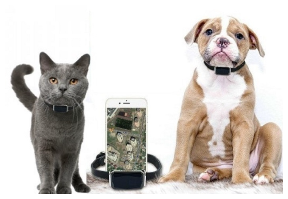 GPS-трекер Samutory-G12P для Собак Кошек (Котов) с Ошейником / С Дистанционным Вкл./Откл. GPS (Держит заряд 3-5 дней с выкл. GPS) / Есть бесплатное приложение на Android и IOS на рус. яз. на Google картах / IP67